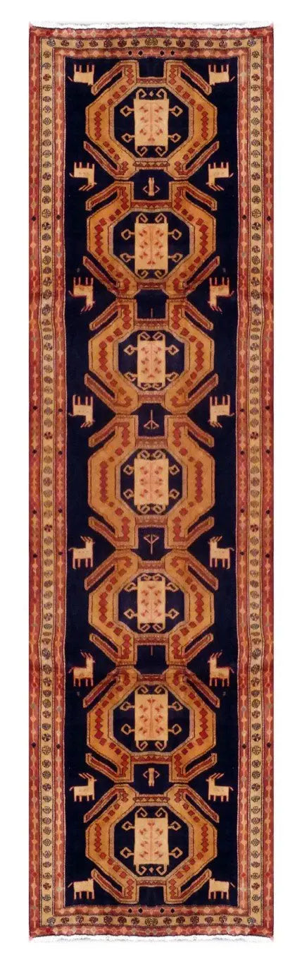 Persian Hamedan Rug 10'1" x 4'1"